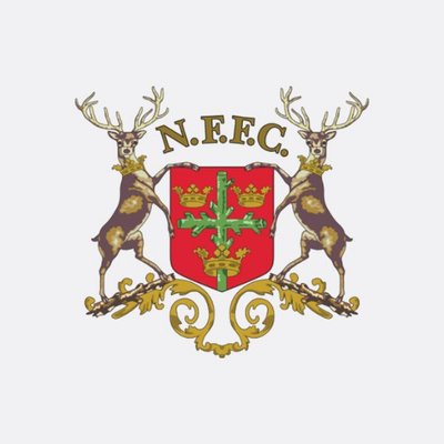 NFFC Archive's profile picture