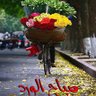 Profilbild von Ahmad Mostafa