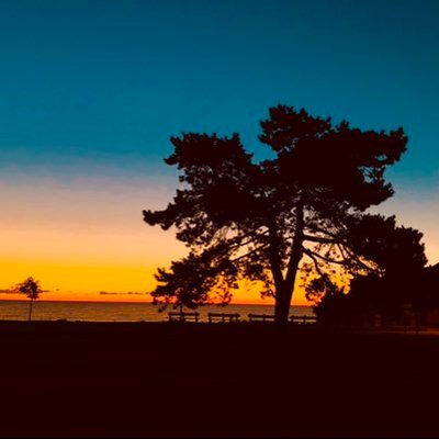 jeeplakeside's profile picture