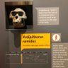 #MAGAzoni profil fotoğrafı