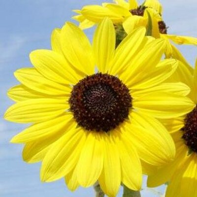 powerpc970's profile picture