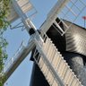 Saucy Windmill 的头像