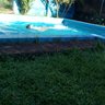 Jacki 🇦🇷 profil fotoğrafı