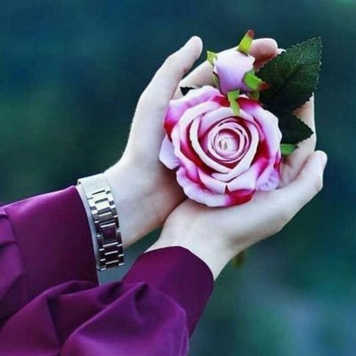 mary_morty's profile picture