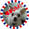 Shoshi📎［・×・］🗼🇫🇷's profile picture
