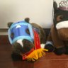 🏇🐈オジュウバーサン's profile picture