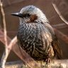 Фото профиля るるった