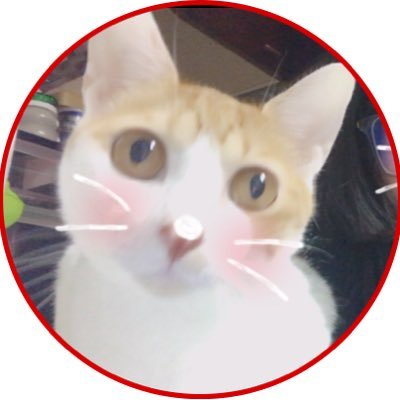 azu_kyousei's profile picture