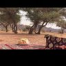 ايمان profil fotoğrafı