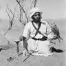 حمد الياسي profil fotoğrafı