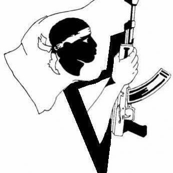 RibelluFulellincu's profile picture