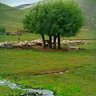 Şenol tosun profil fotoğrafı