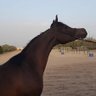 Фото профиля MAQ