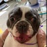 Netty profil fotoğrafı