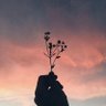 DEE☁️'s profile picture