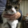 ふさ千明 的头像