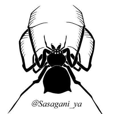 Sasagani_ya's profile picture