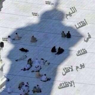 amanio123456's profile picture