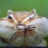 ビッキー profil fotoğrafı