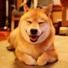 Profilbild von 路人