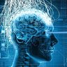 Фото профиля Circonvoluzioni Cerebrali