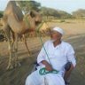 أحمد اليحمدي (ولد العمده)'s profile picture