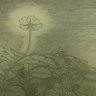 Lilium-nocte's profile picture