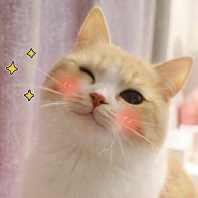 Lizz's profile picture