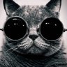 cinggaroยฎ's profile picture