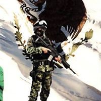 GAFES. Militares, Marinos y GN's profile picture