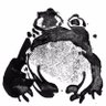 Фото профиля tOad