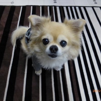 PB7q8wvuWCHybBm's profile picture