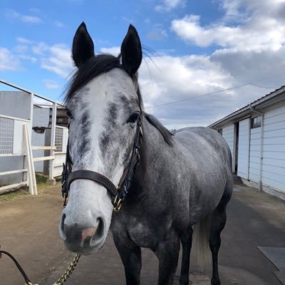 thisistokuzawat's profile picture