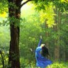china~茂盛的绿叶's profile picture