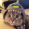 Profilbild von Микола