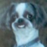 Profilbild von Jourmungand