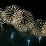 ムクドリ 的头像