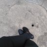 Tariro M profil fotoğrafı