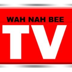 Wahnahbeetv's profile picture