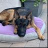 Clive's profile picture