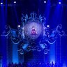 Born Free 大祐 VISION 媛① 東②③'s profile picture