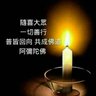 我是不是他的他 的头像