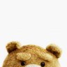 Teddy profil fotoğrafı
