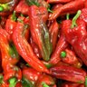 Фото профиля OCoriscoMalAmanhado