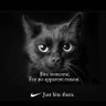Minou profil fotoğrafı