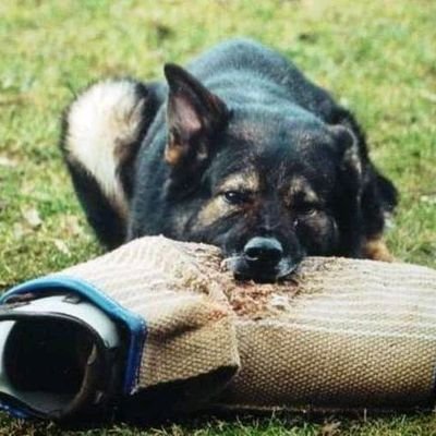 NazzarenoMi's profile picture