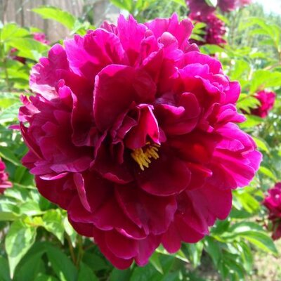 🎀 gemeinsam 🎀's profile picture
