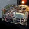 Фото профиля orac