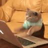 carlalacarlaarla's profile picture