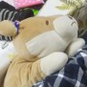 しろながすばにら profil fotoğrafı